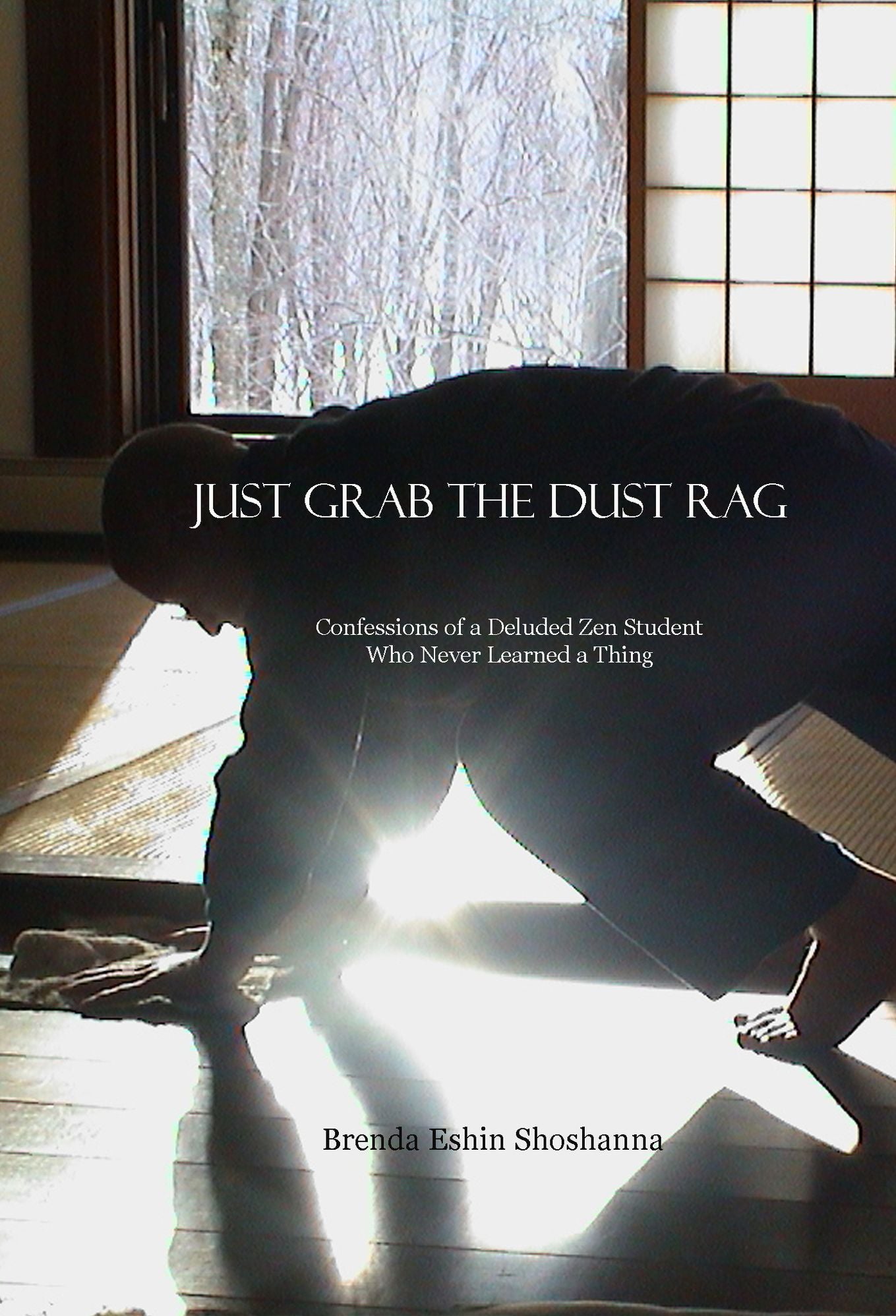 Just Grab the Dust Rag: Confessions of a Deluded Zen Student Who Never Learned A Thing