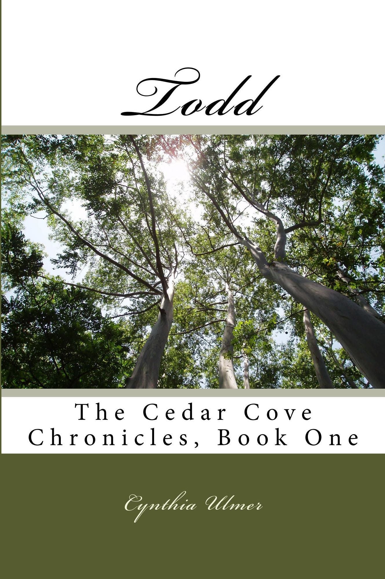 Todd The Cedar Cove Chronicles, Book One