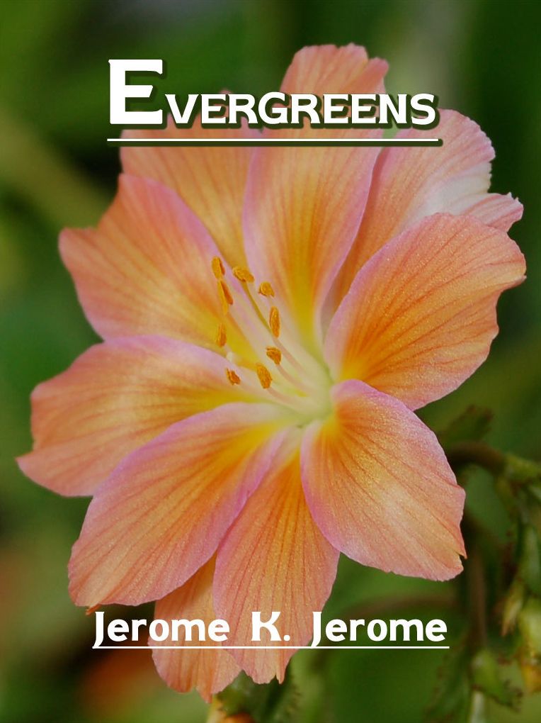 Evergreens