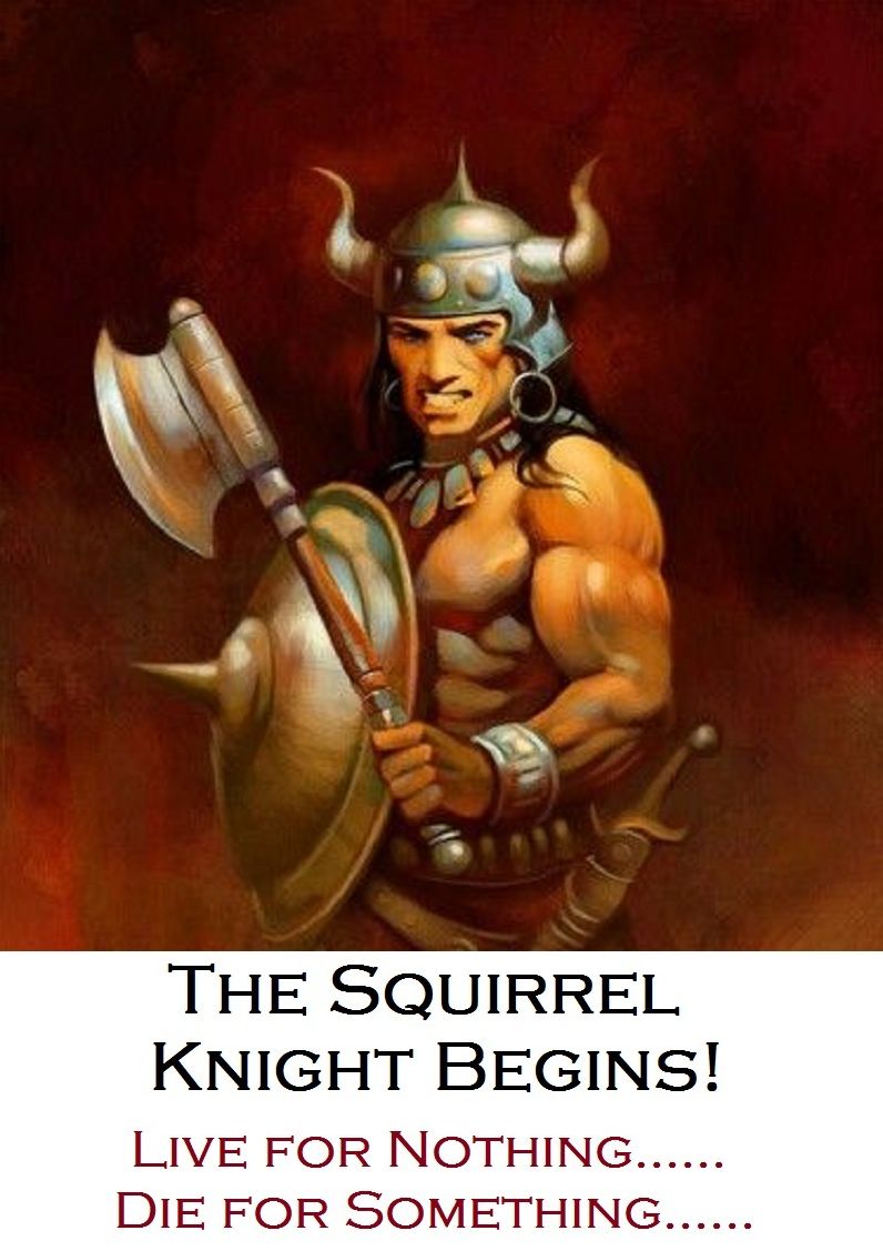 The Squirrel Knight Begins fantasy, sci -fi, science fiction, dragon, battle, war, fairy tales, knight, rpg, battle, castle, magic Presented by Resounding Wind Publishing