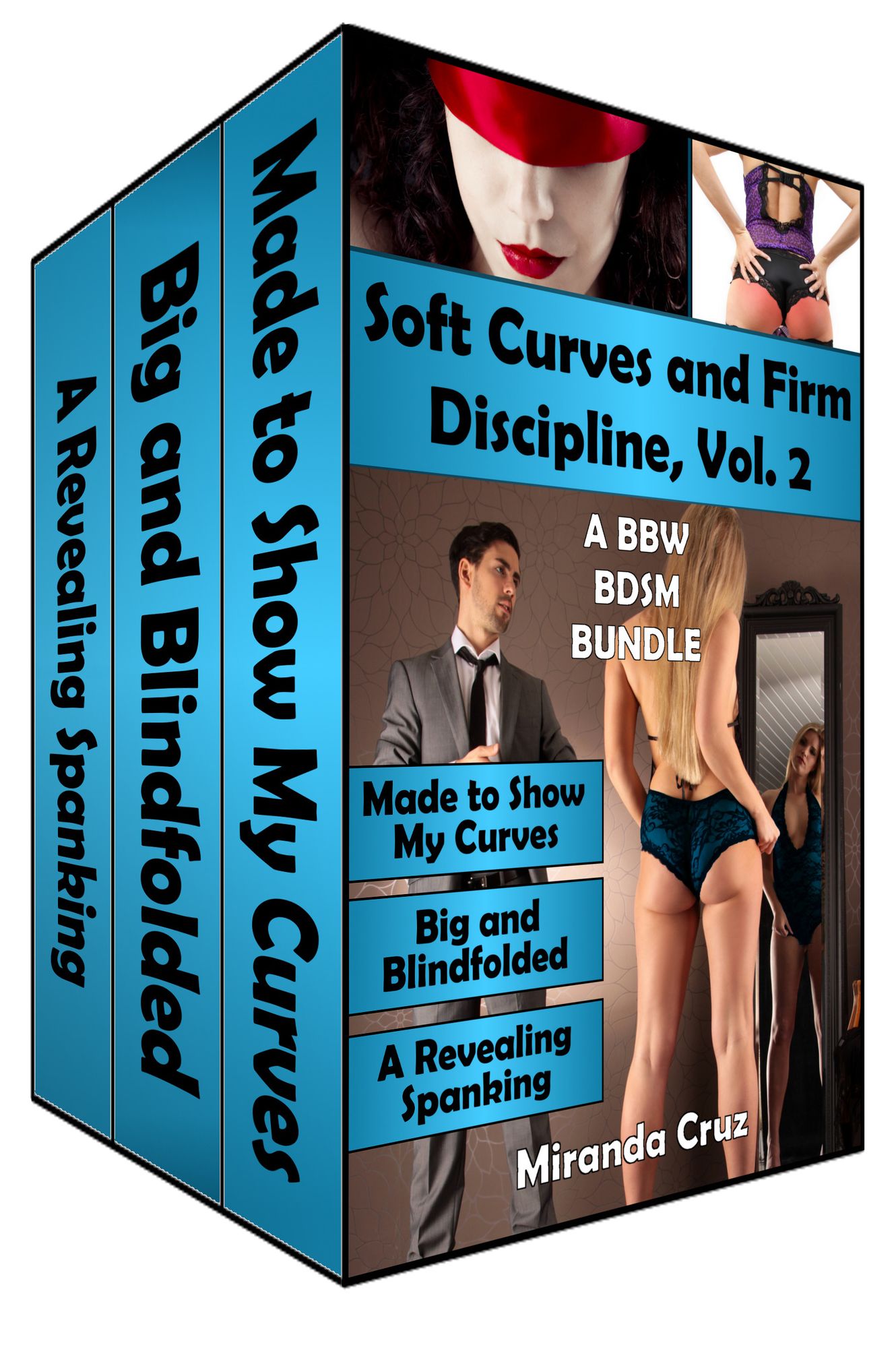 Soft Curves and Firm Discipline, Volume Two (BBW, BDSM, Spanking, Humiliation)