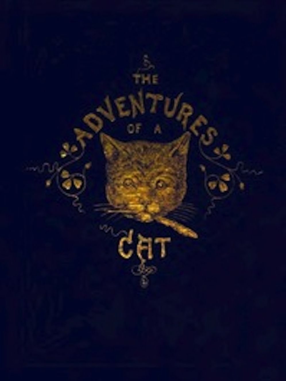 The Adventures of a Cat (Illustrated)