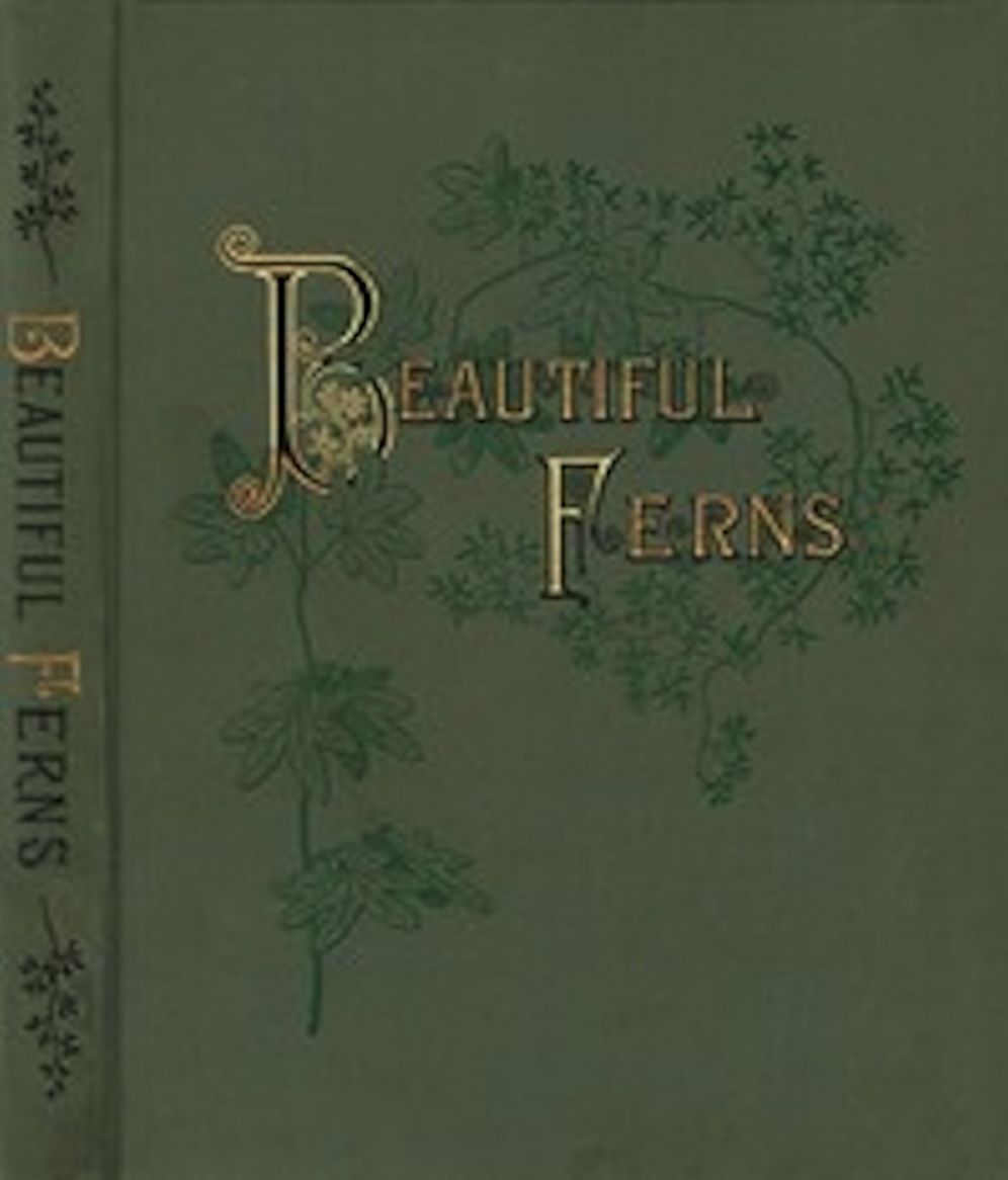 Beautiful Ferns (Illustrated)