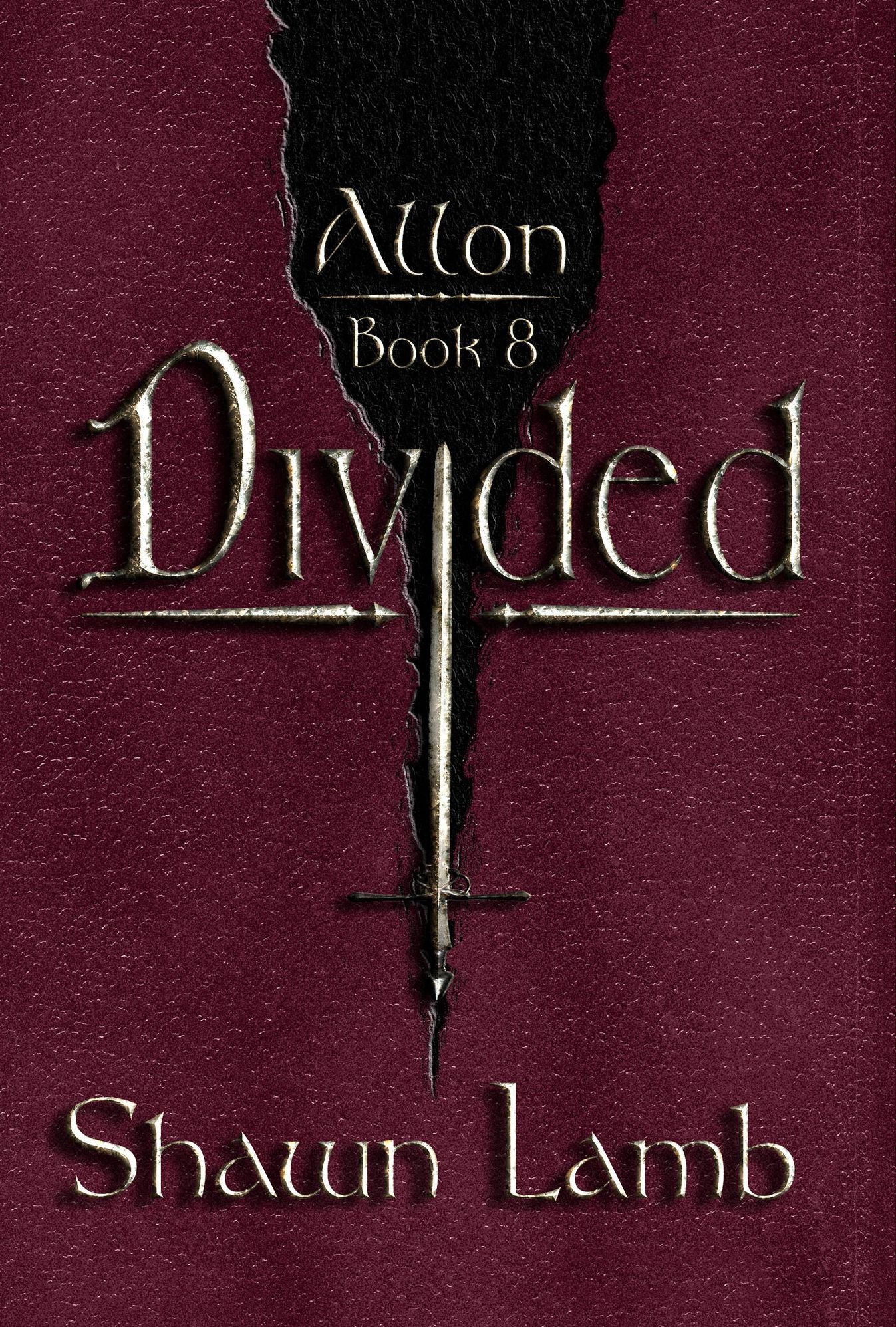 Allon Book 8 - Divided