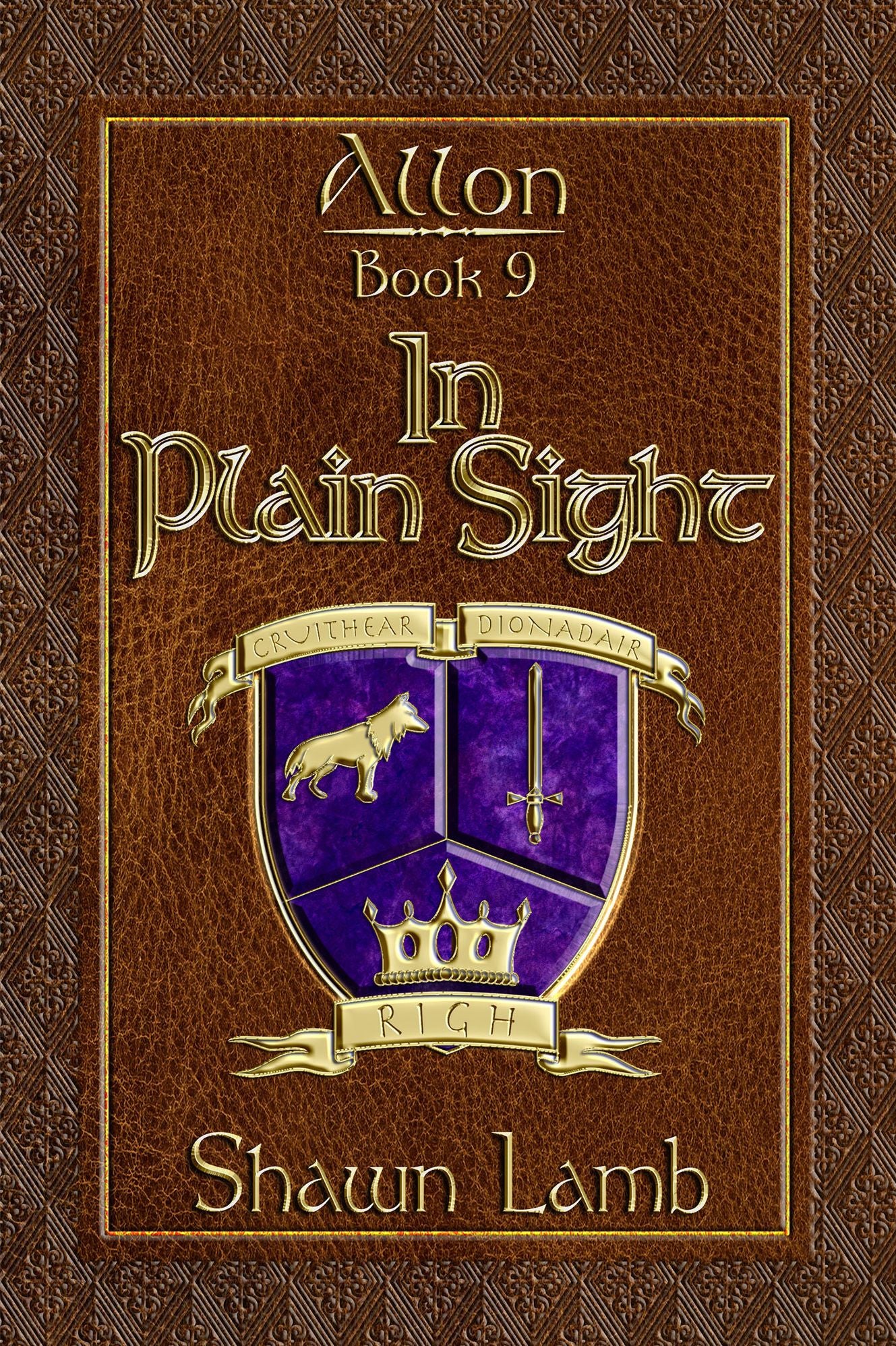 Allon Book 9 - In Plain Sight