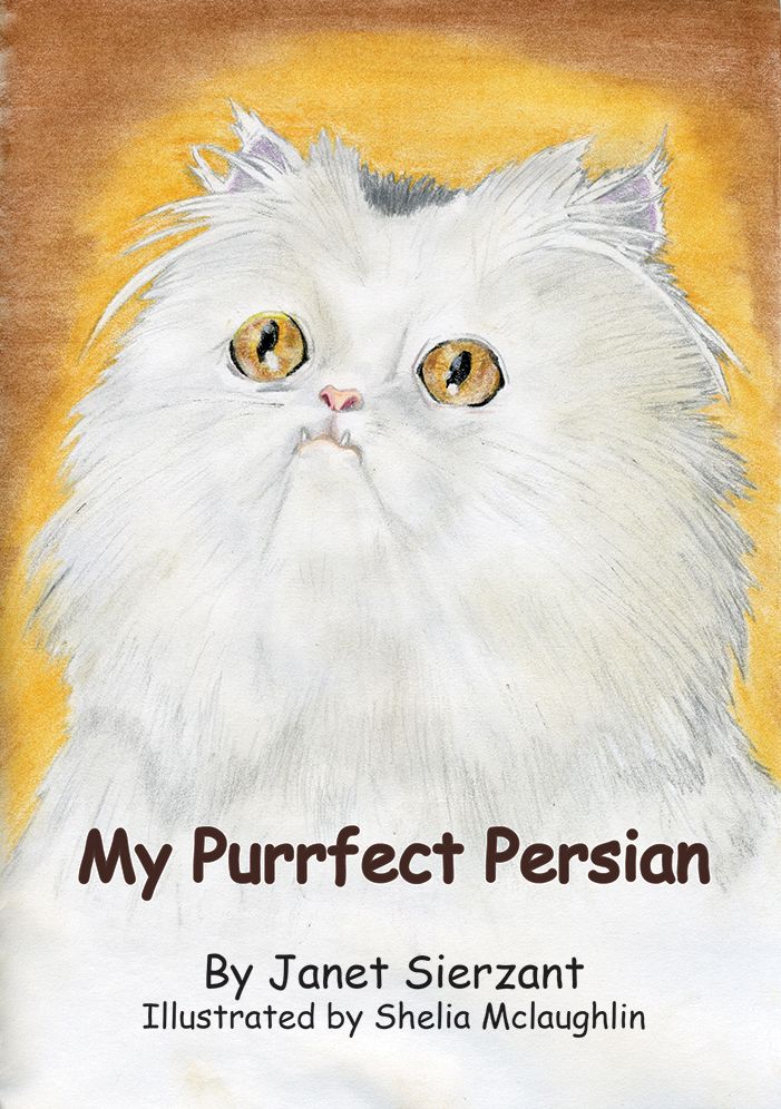 My Purrfect Persian