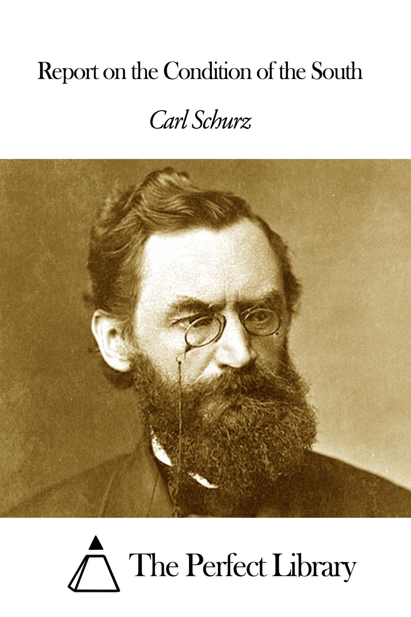 Report on the Condition of the South