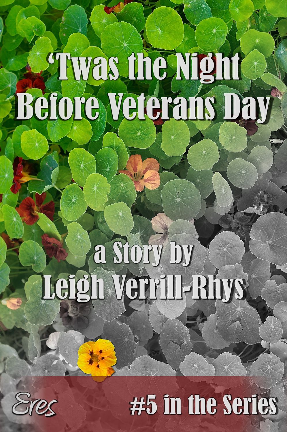 'Twas the Night Before Veterans Day