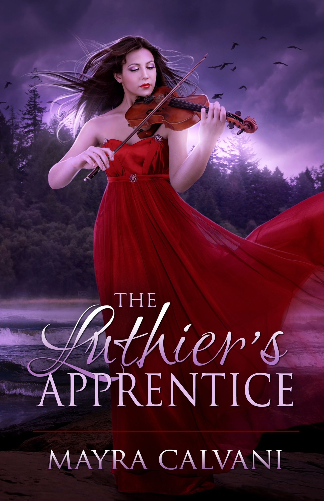 The Luthier's Apprentice