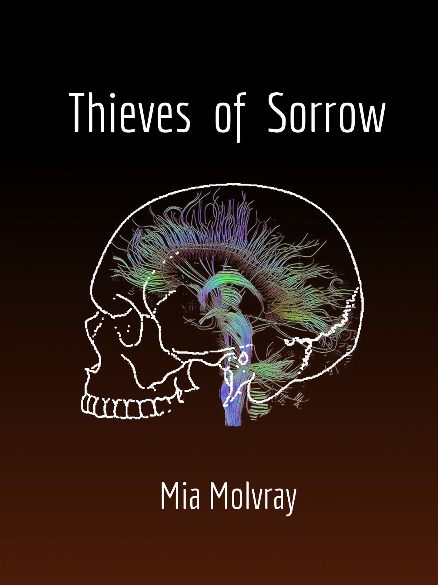 Thieves of Sorrow