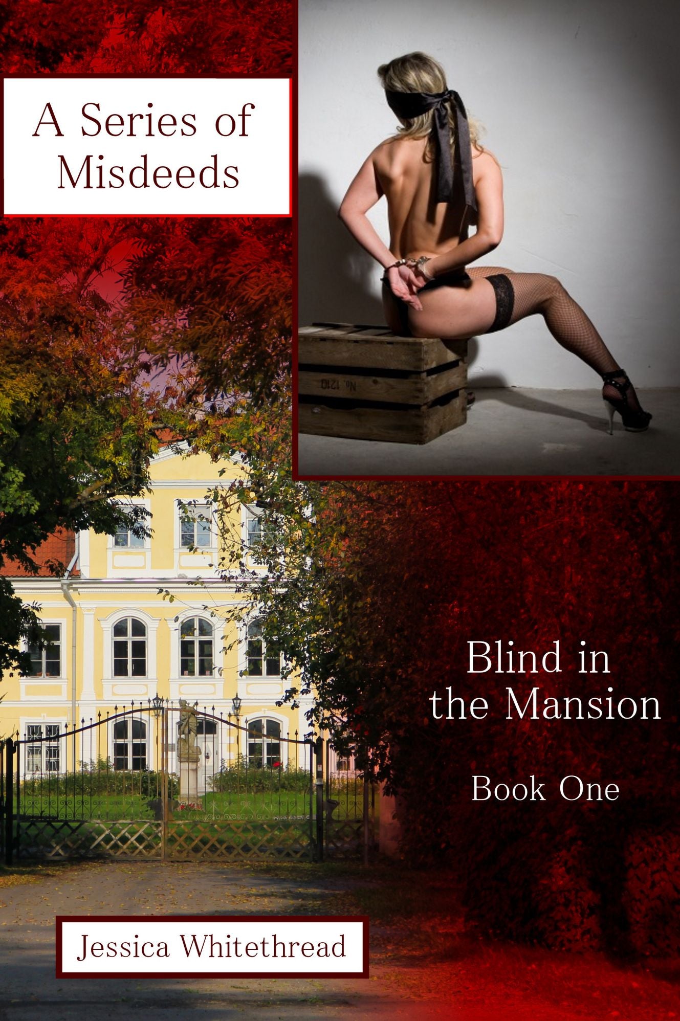 Blind in the Mansion Book One: A Series of Misdeeds