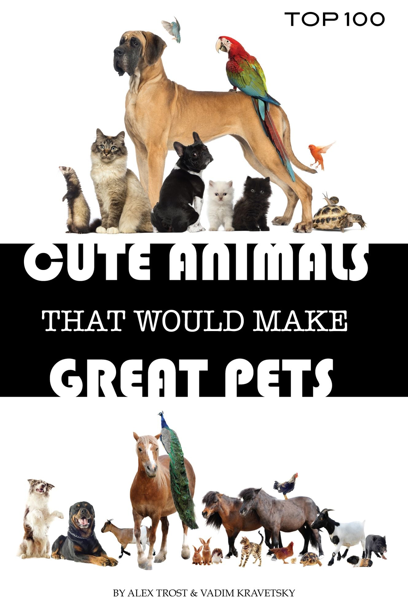 Cute Animals That Would Make Great Pets: Top 100