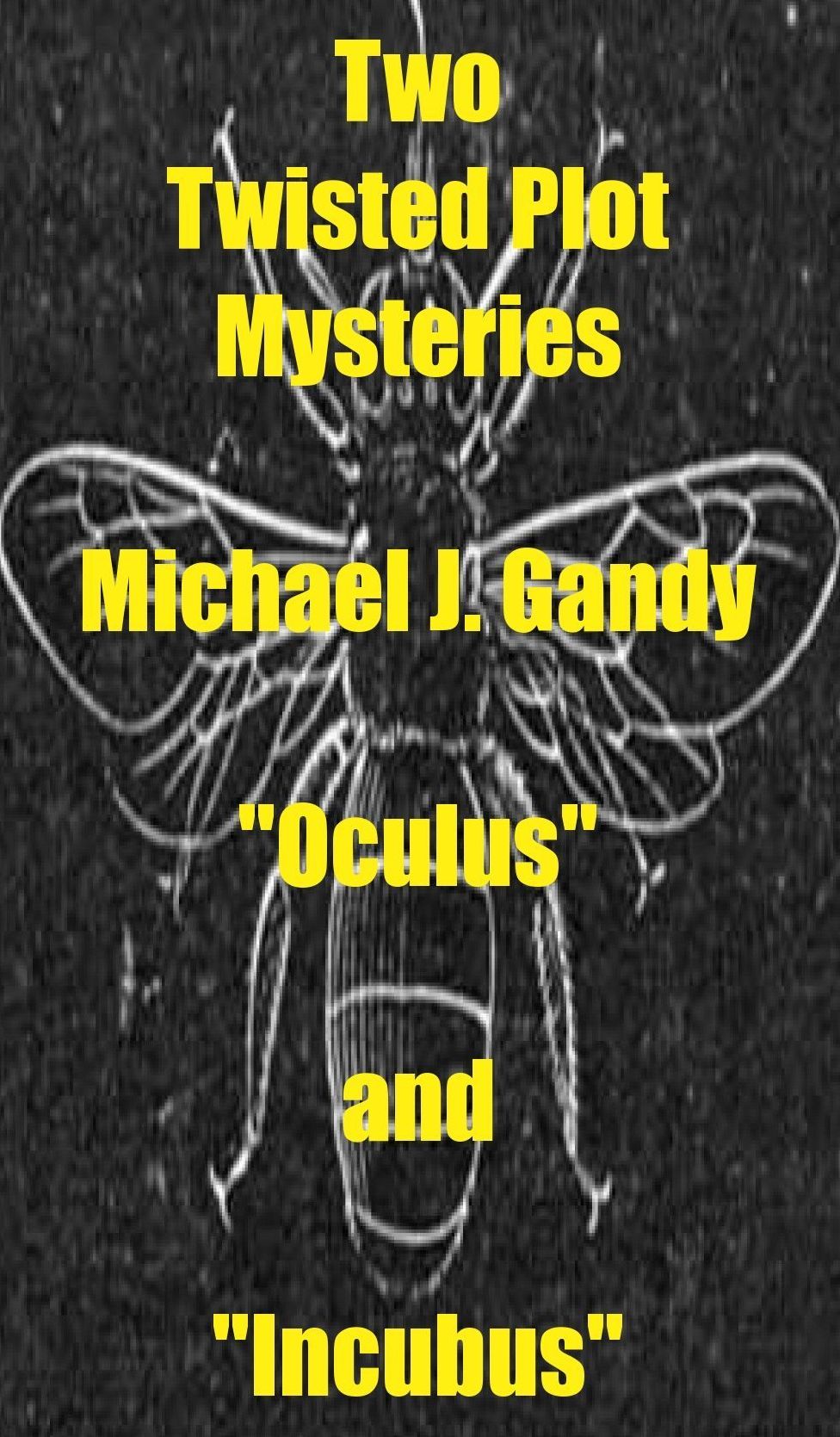 Two Twisted Plot Mysteries