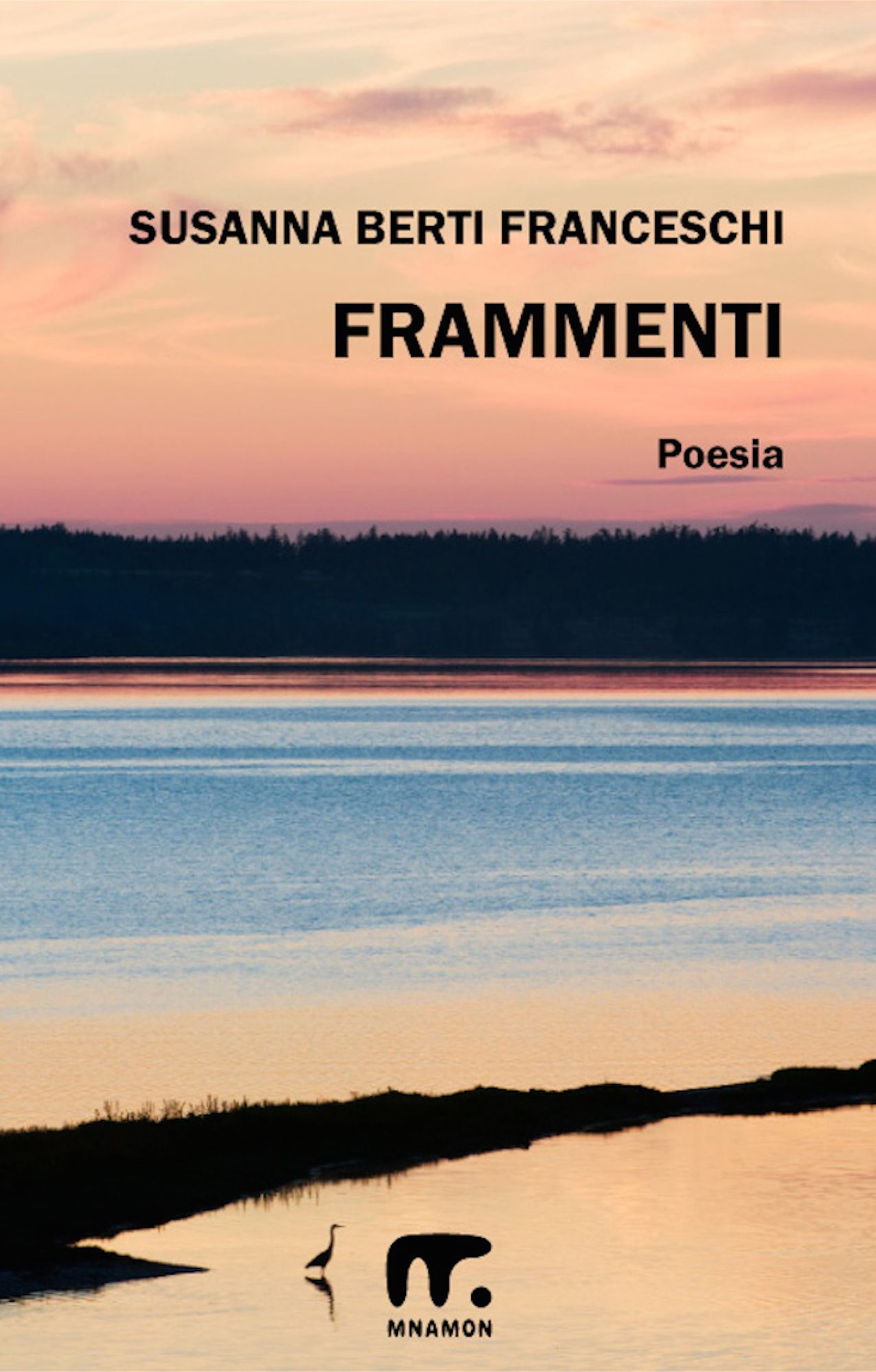 Frammenti
