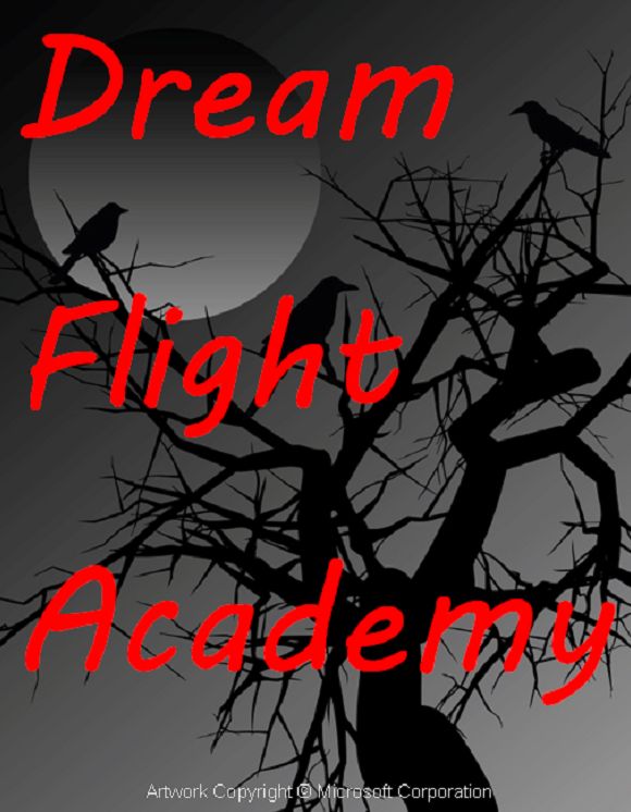 Dream Flight Academy