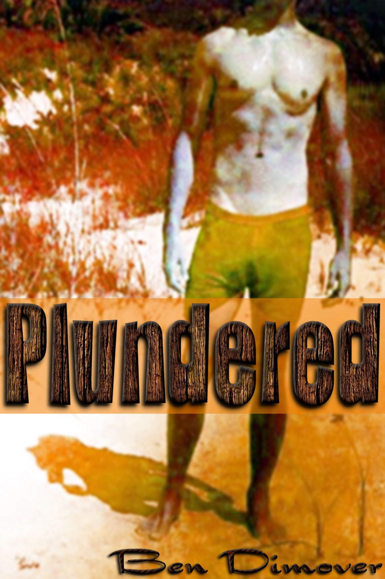 Plundered (Rough Reluctant Gay Pirate Prince Submission Erotica)
