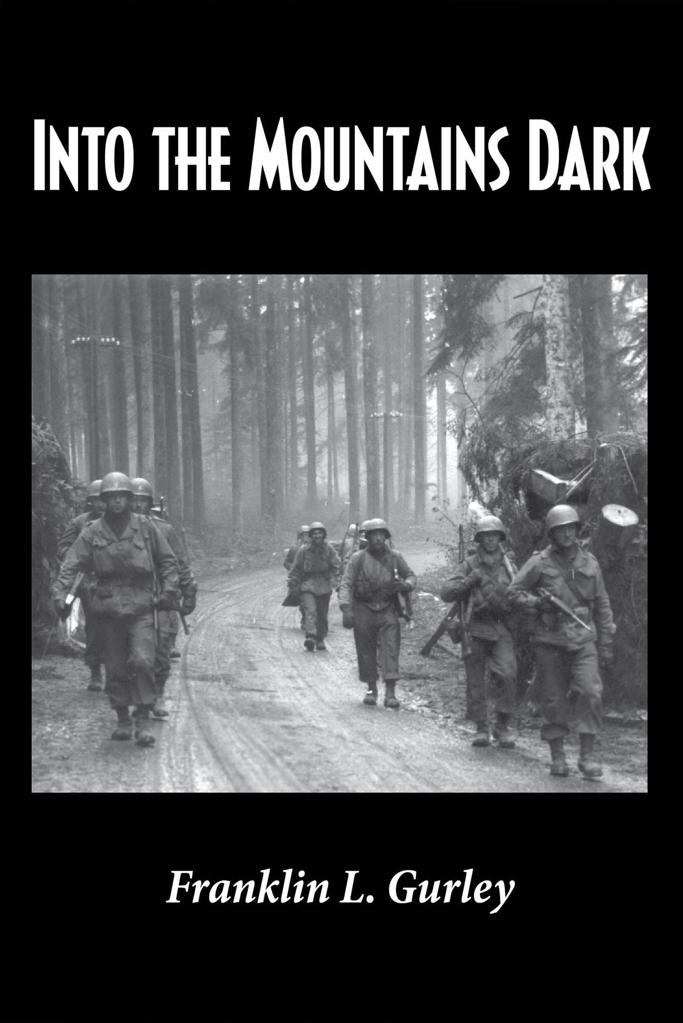 Into the Mountains Dark: A WWII Odyssey from Harvard Crimson to Infantry Blue