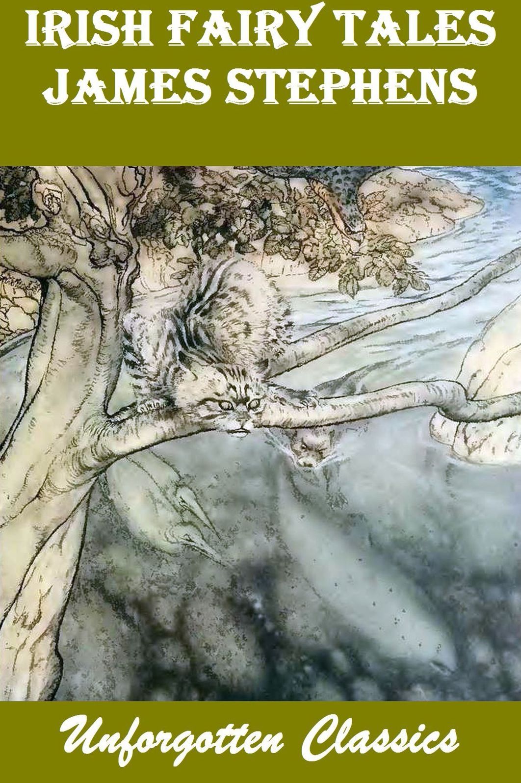 Irish Fairy Tales with Illustrations by James Stephens