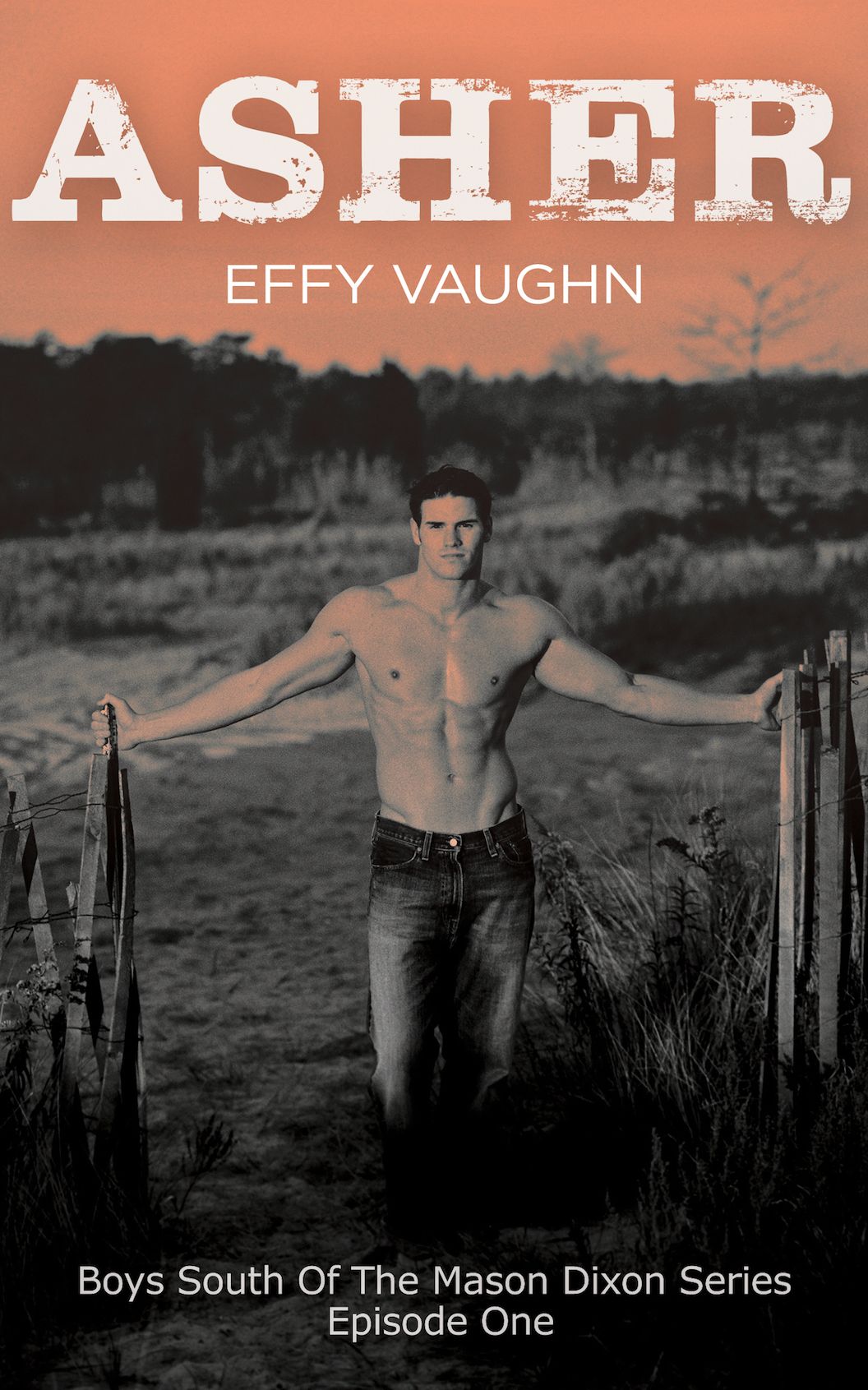 Asher (Boys South of The Mason Dixon #1)
