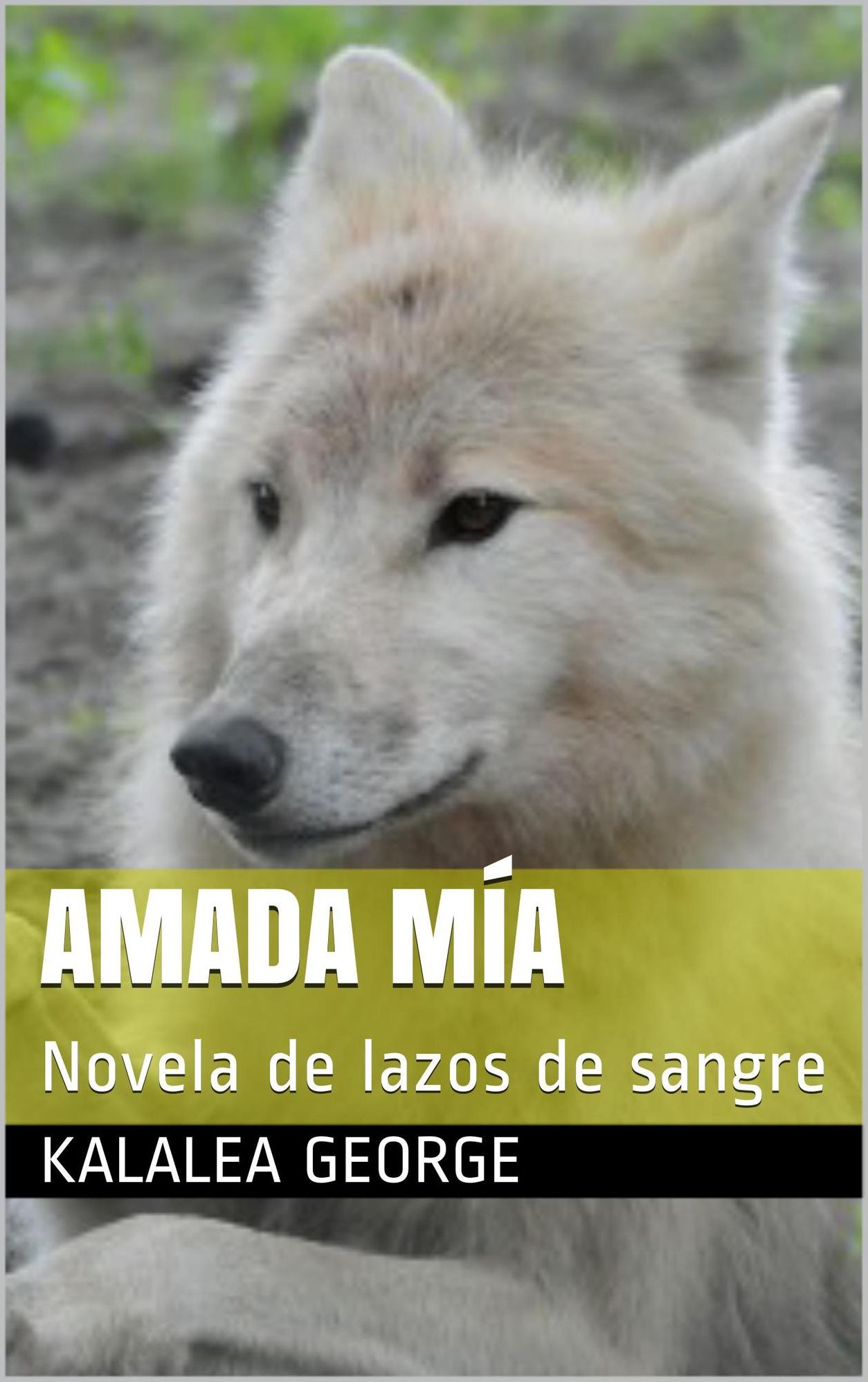 Amada mia