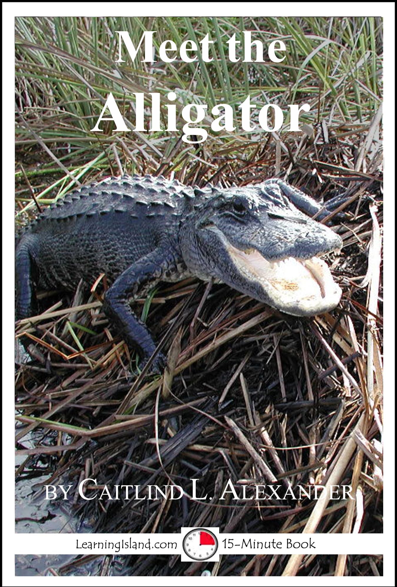 Meet the Alligator: A 15-Minute Book for Early Readers