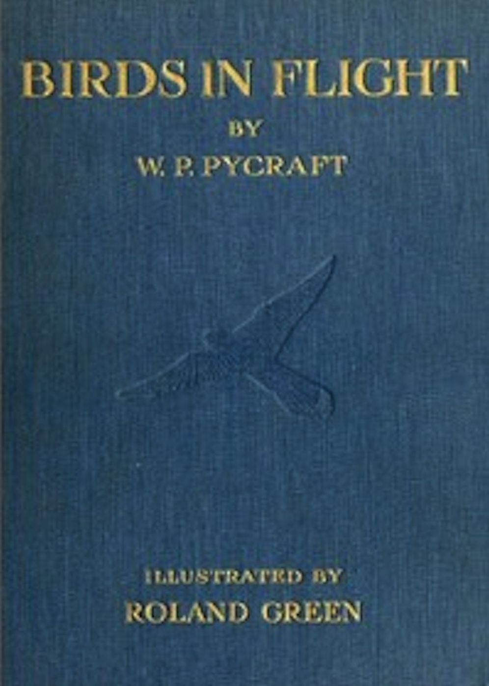 Birds in Flight (Illustrated)