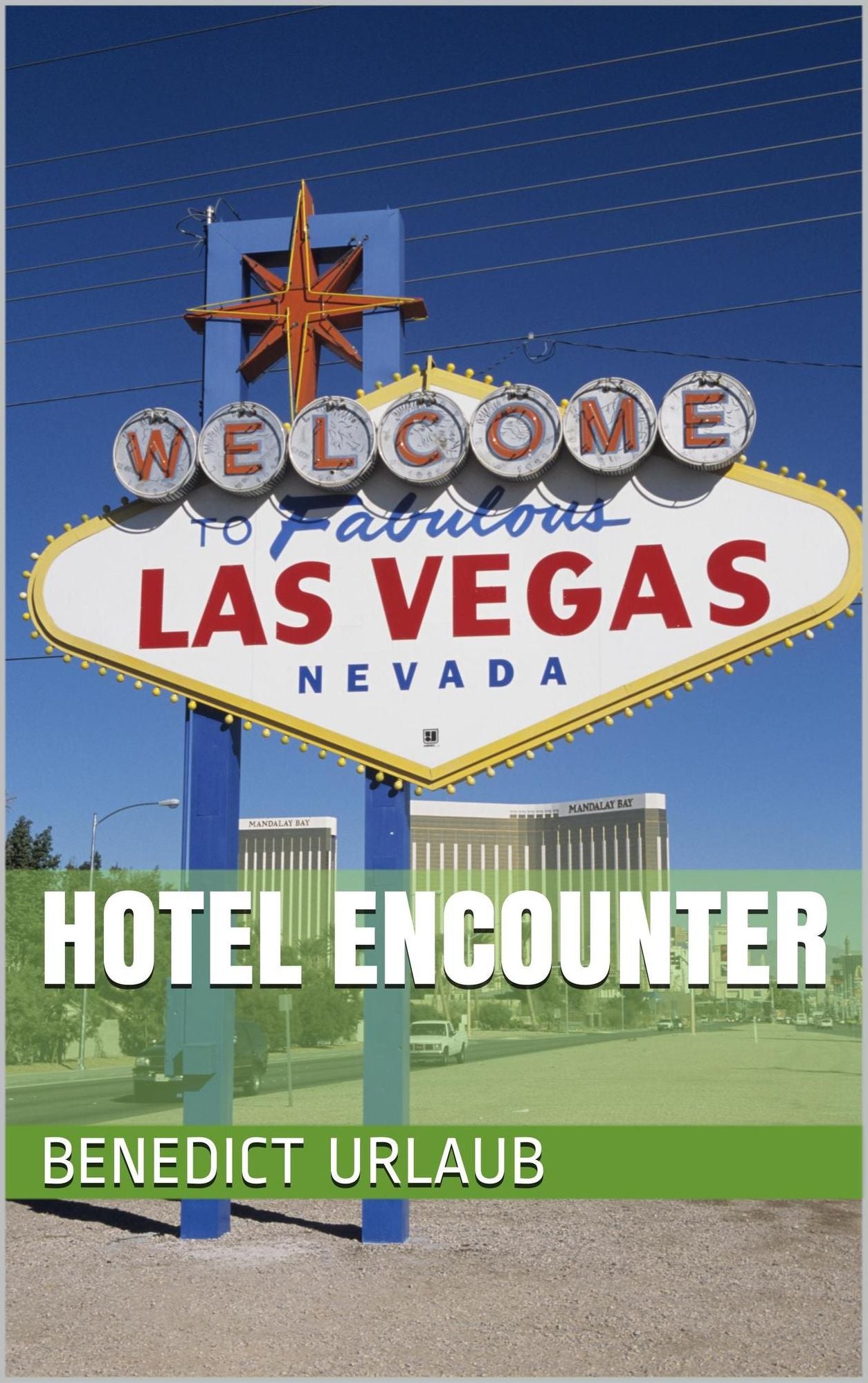 Hotel Encounter