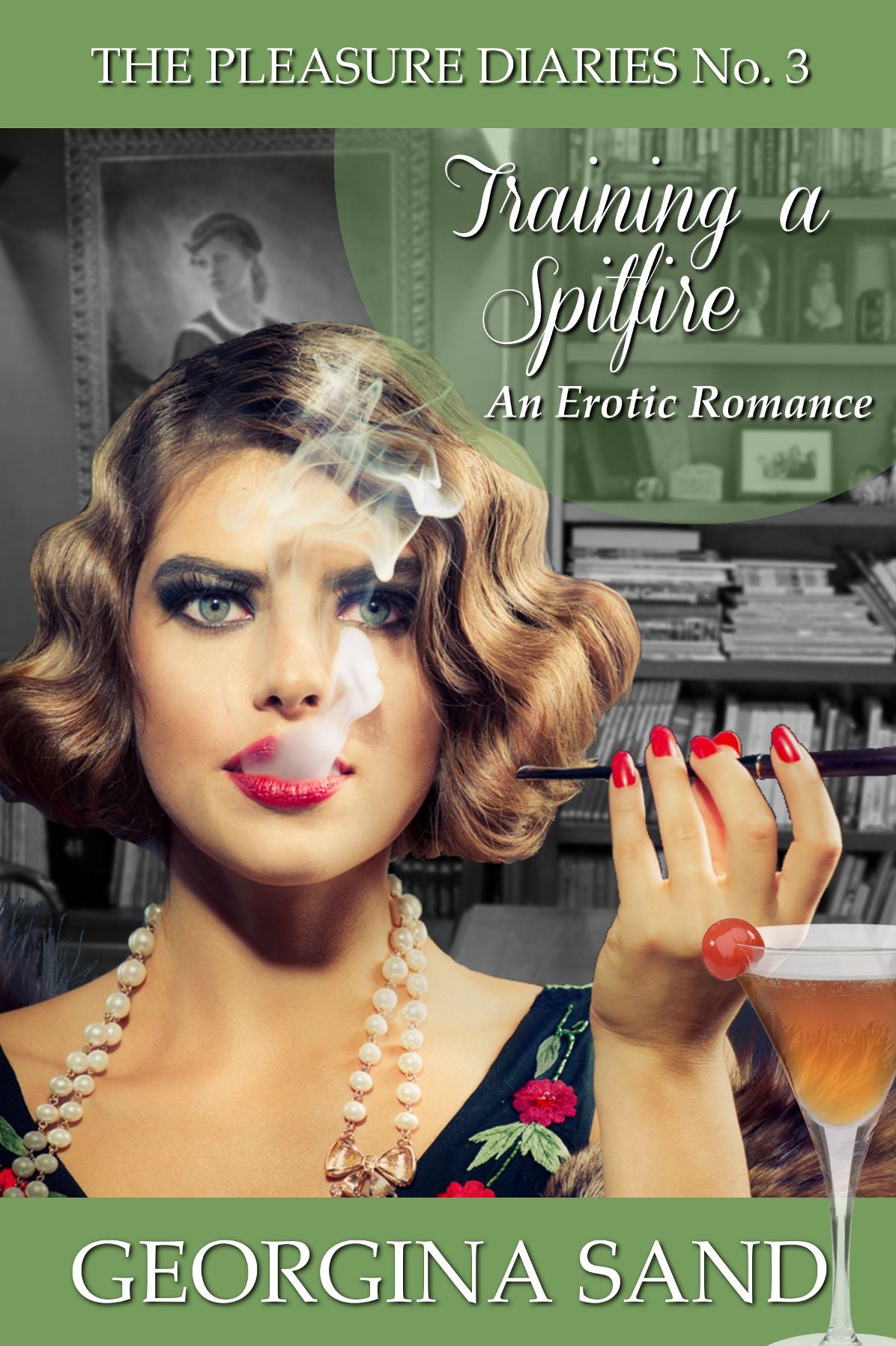 The Pleasure Diaries: Training a Spitfire (An Erotic Romance)
