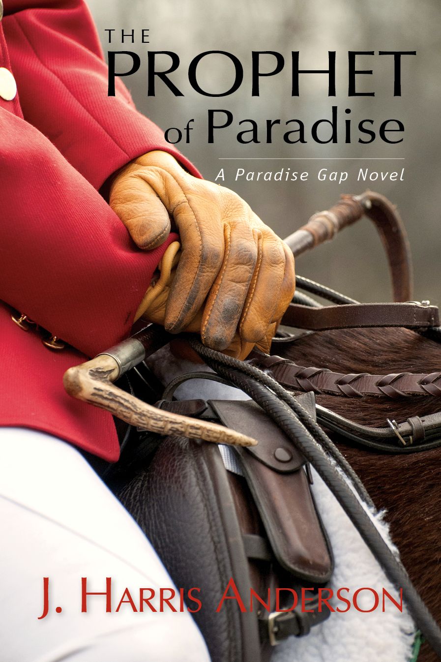 The Prophet of Paradise: A Paradise Gap Novel