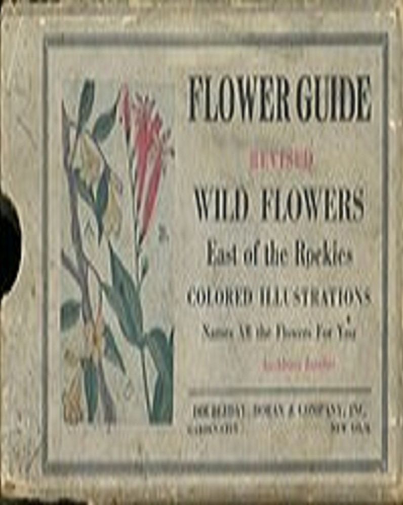 A Guide to Wild Flowers