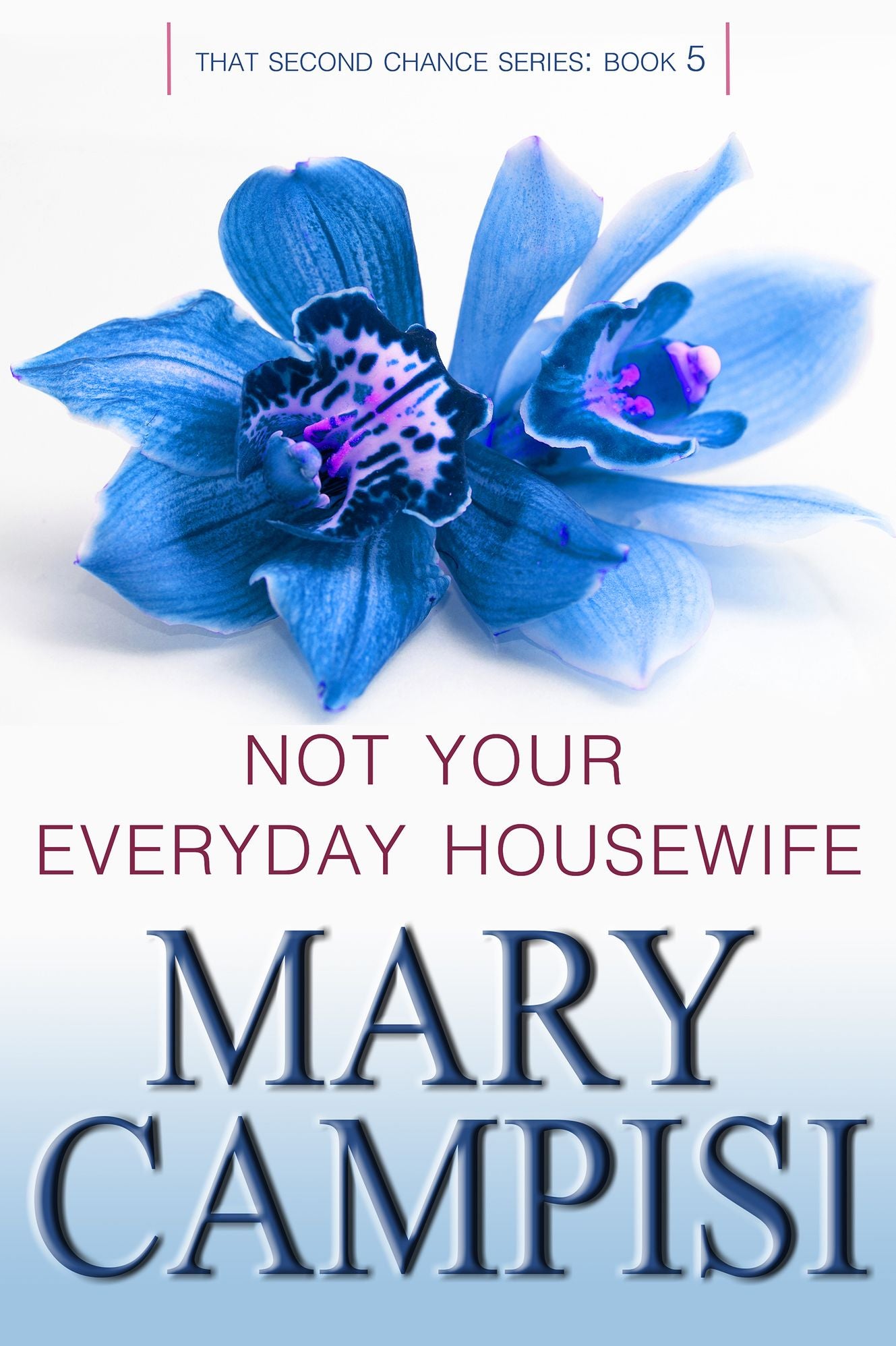 Not Your Everyday Housewife