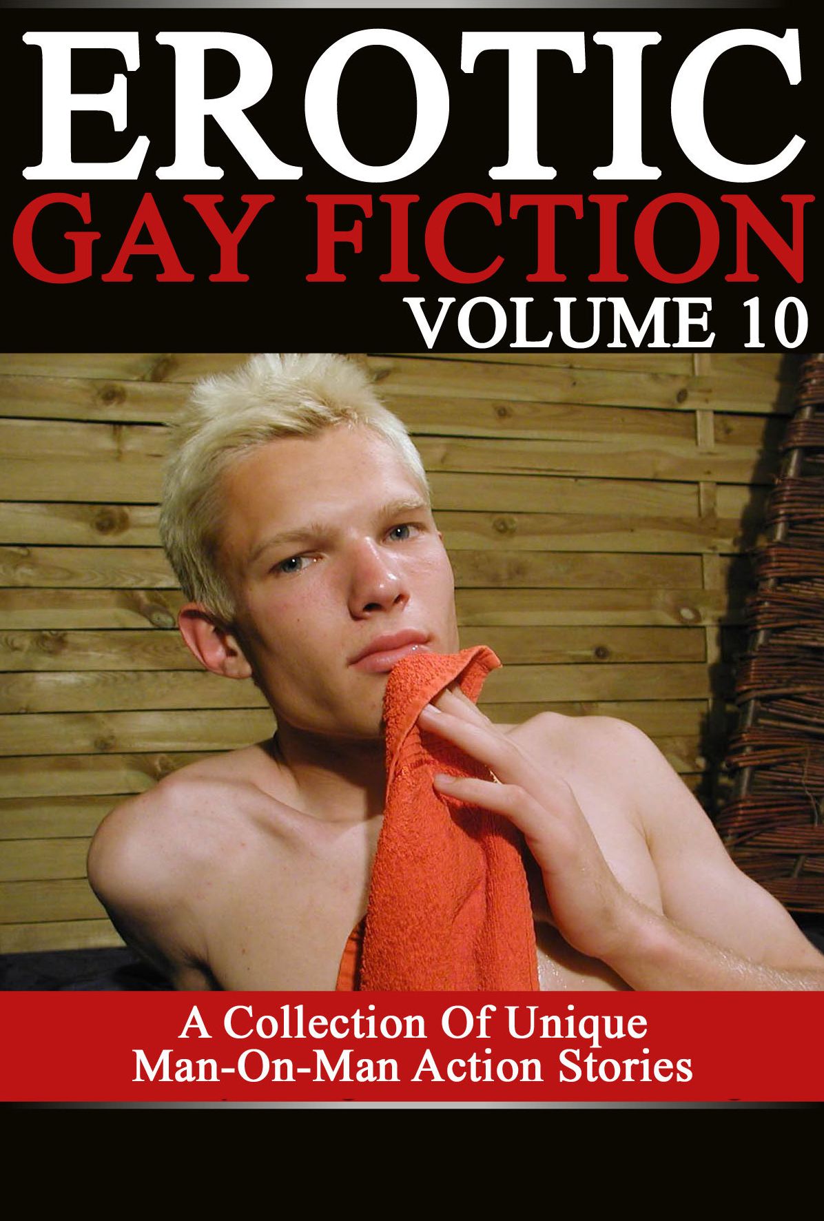 Erotic Gay Fiction: Volume 10