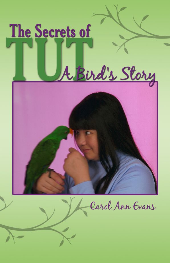 The Secrets of TUT: A Bird's Story