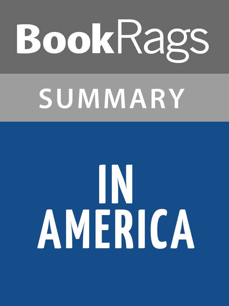 In America by Susan Sontag Summary & Study Guide