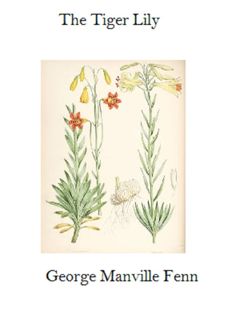 The Tiger Lily