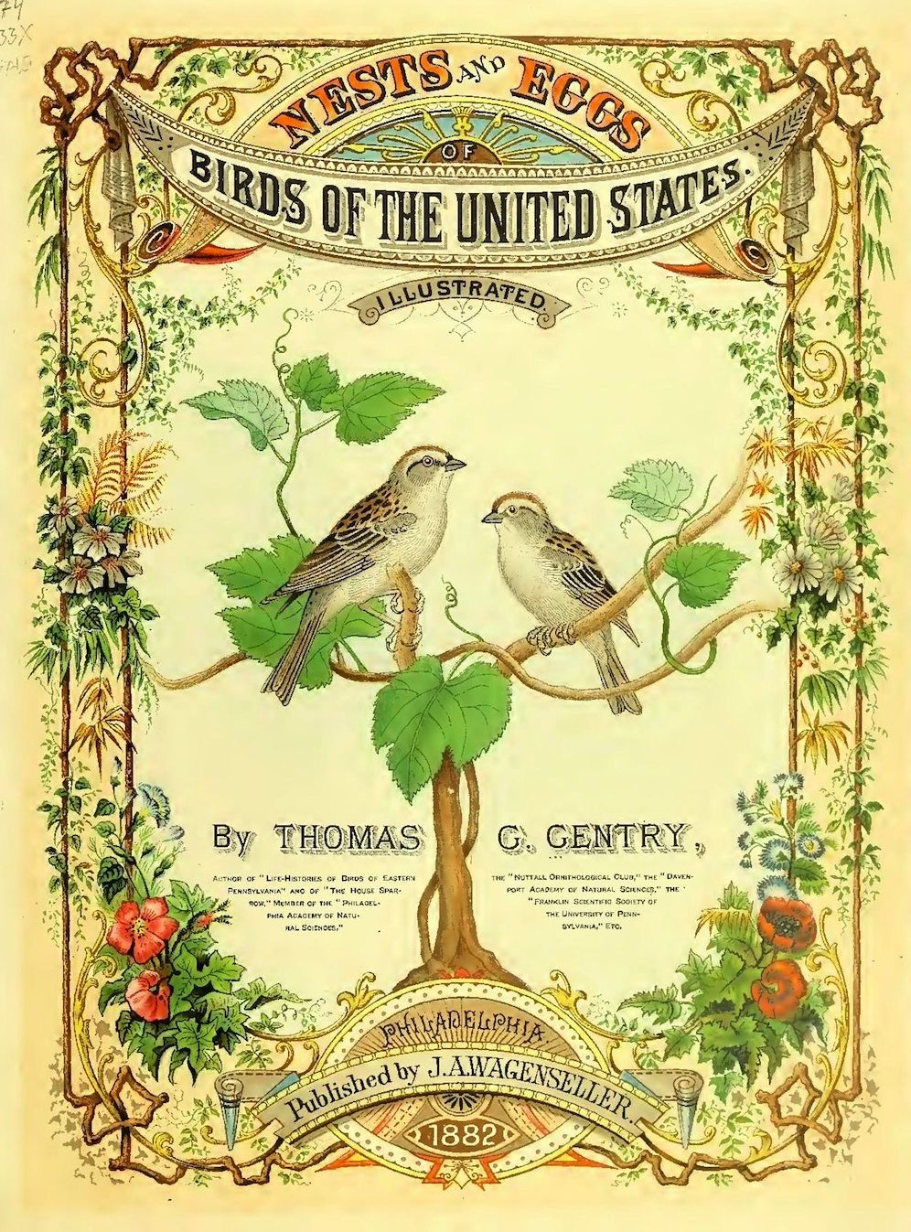 Nests and Eggs of Birds of The United States (Illustrated)