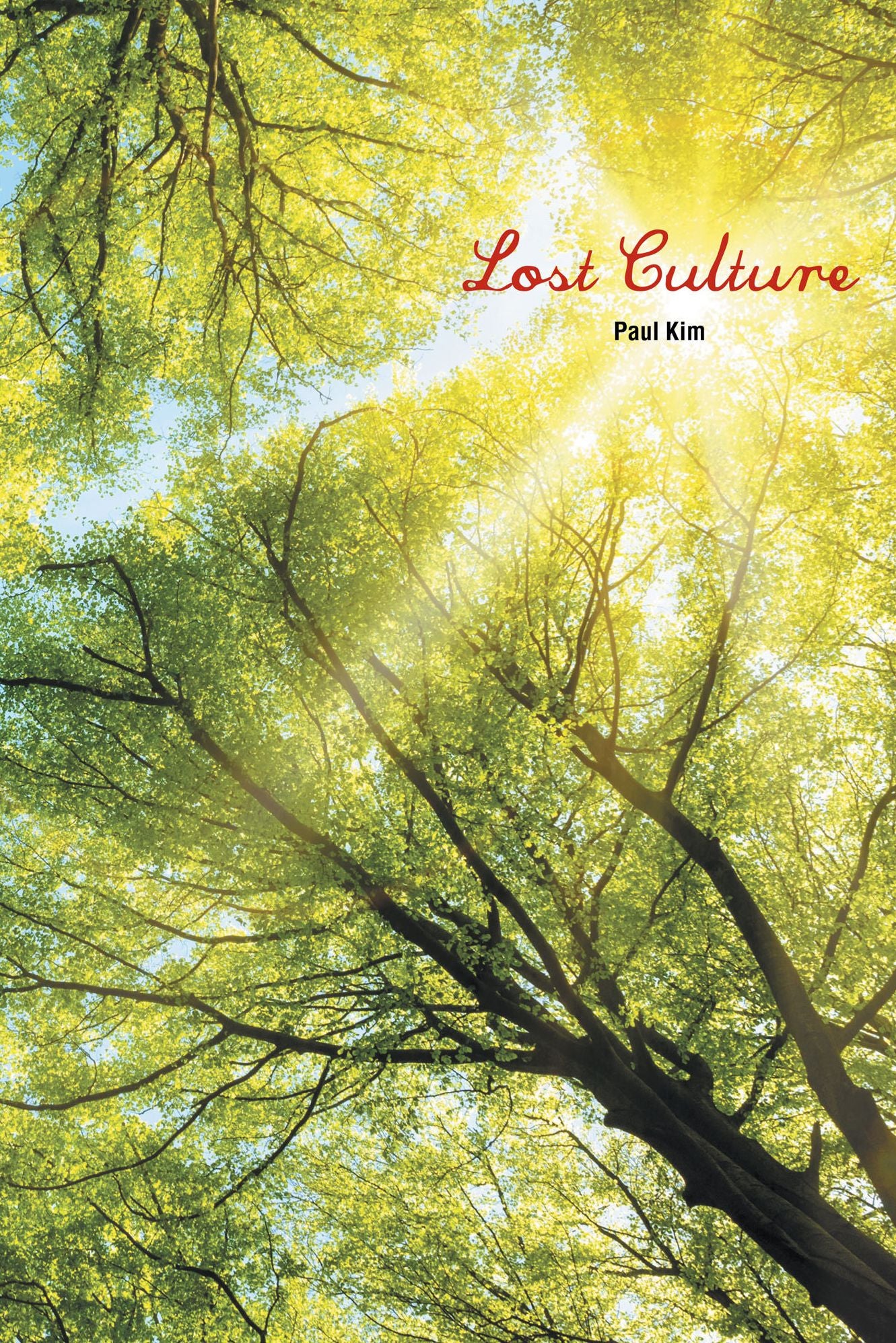 Lost Culture