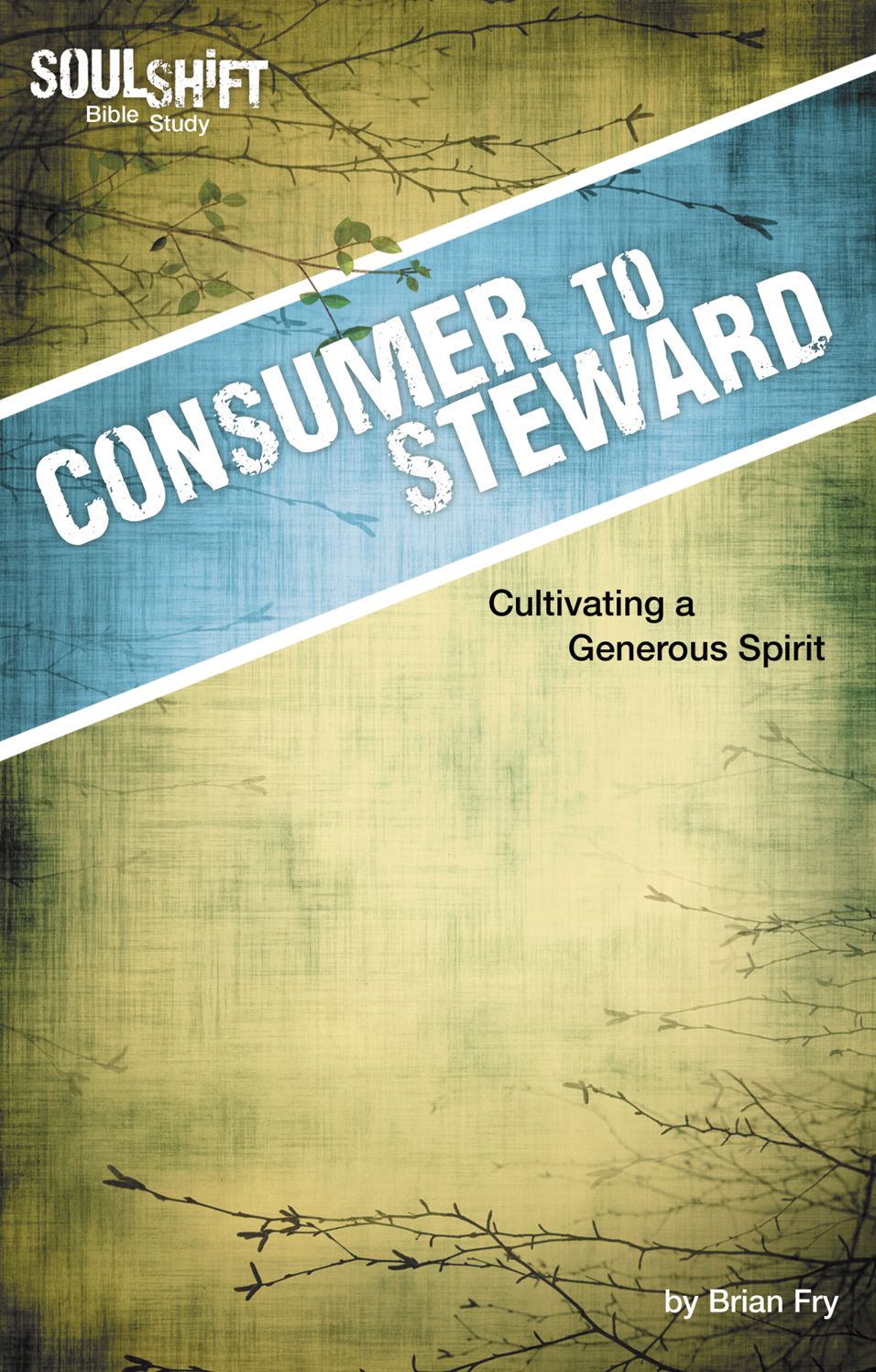 Consumer to Steward, Cultivating a Generous Spirit: SoulShift Bible Study