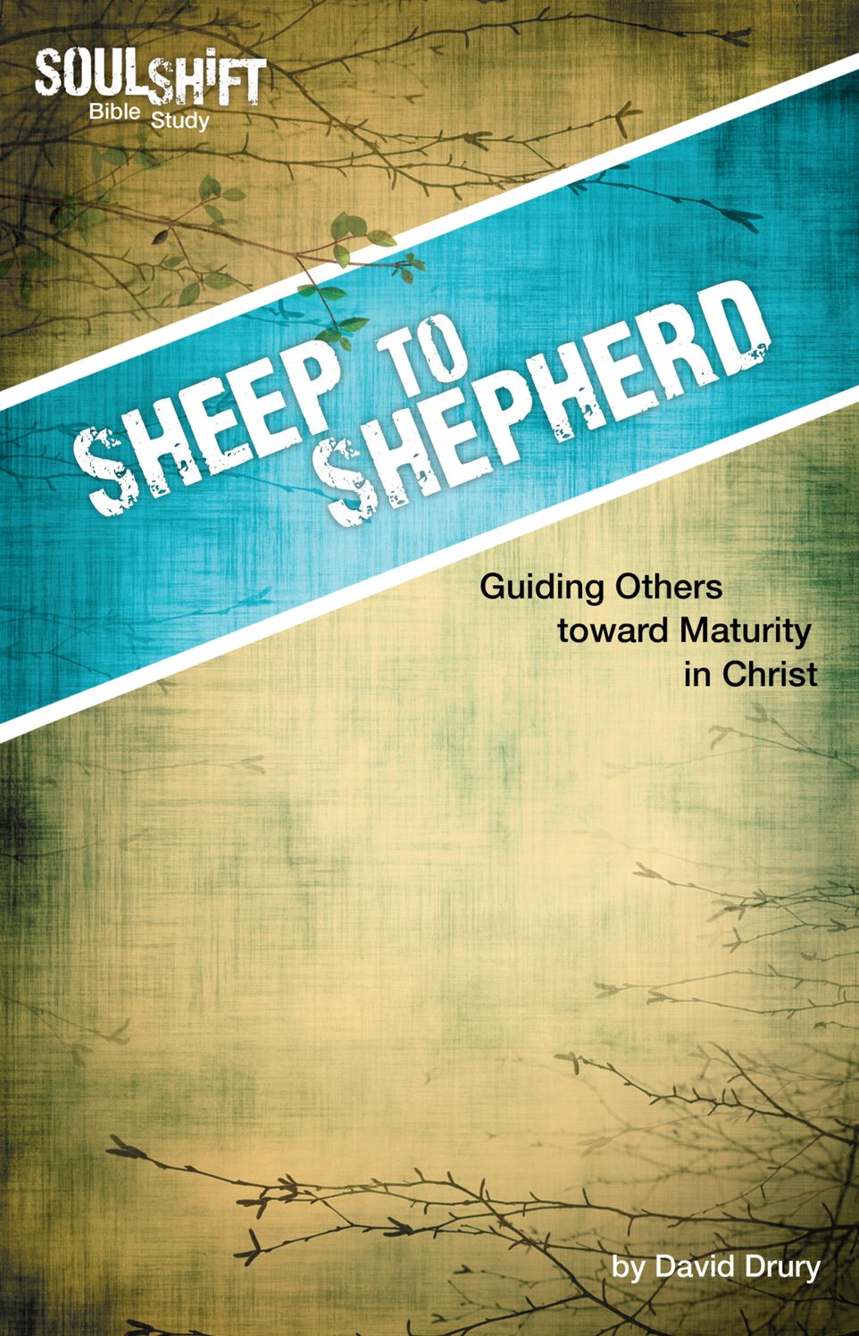 Sheep to Shepherd, Guiding Others toward Maturity in Christ: SoulShift Bible Study