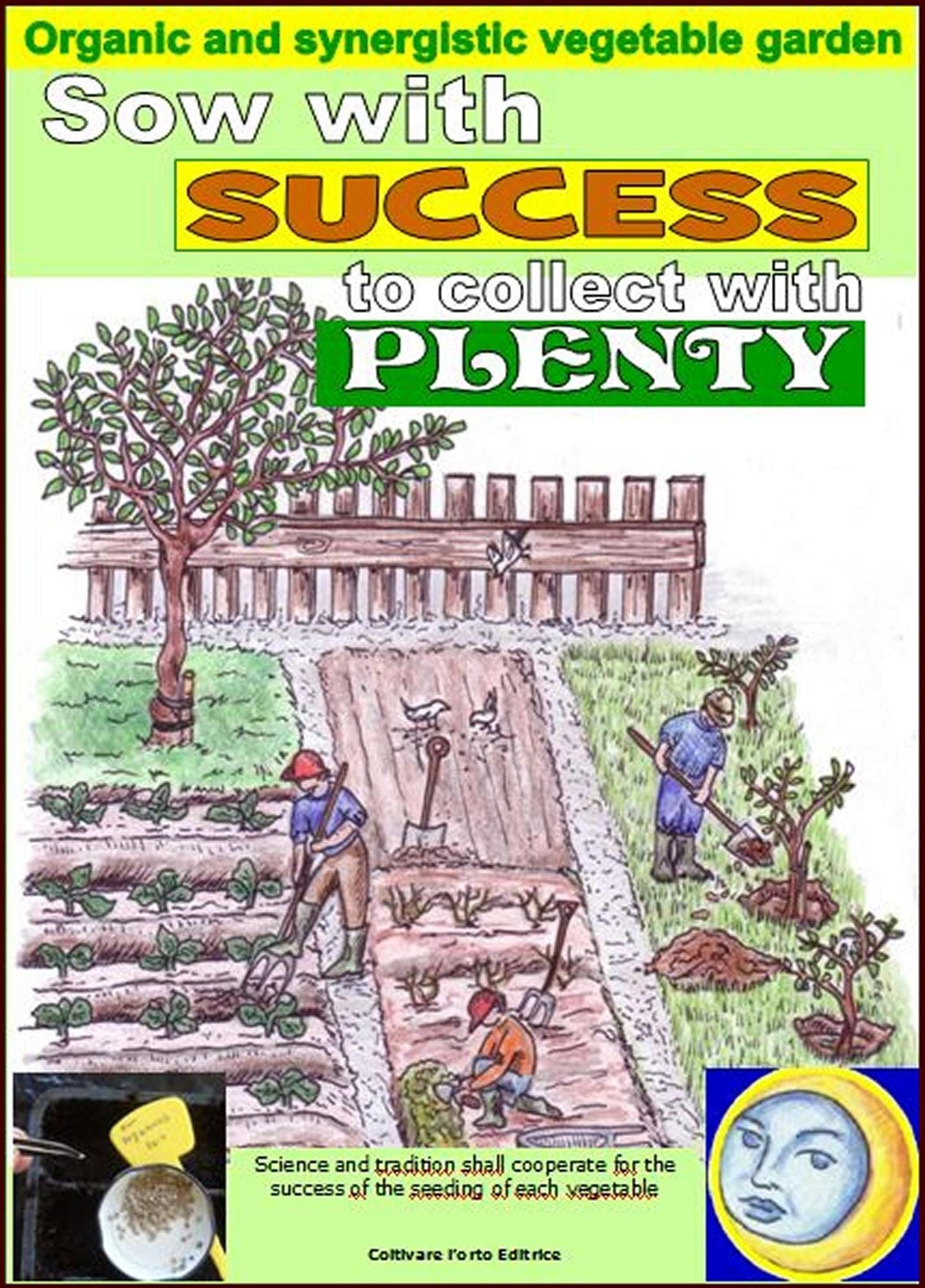 Organic and synergistic vegetable garden. Sow with success to collect with plenty.