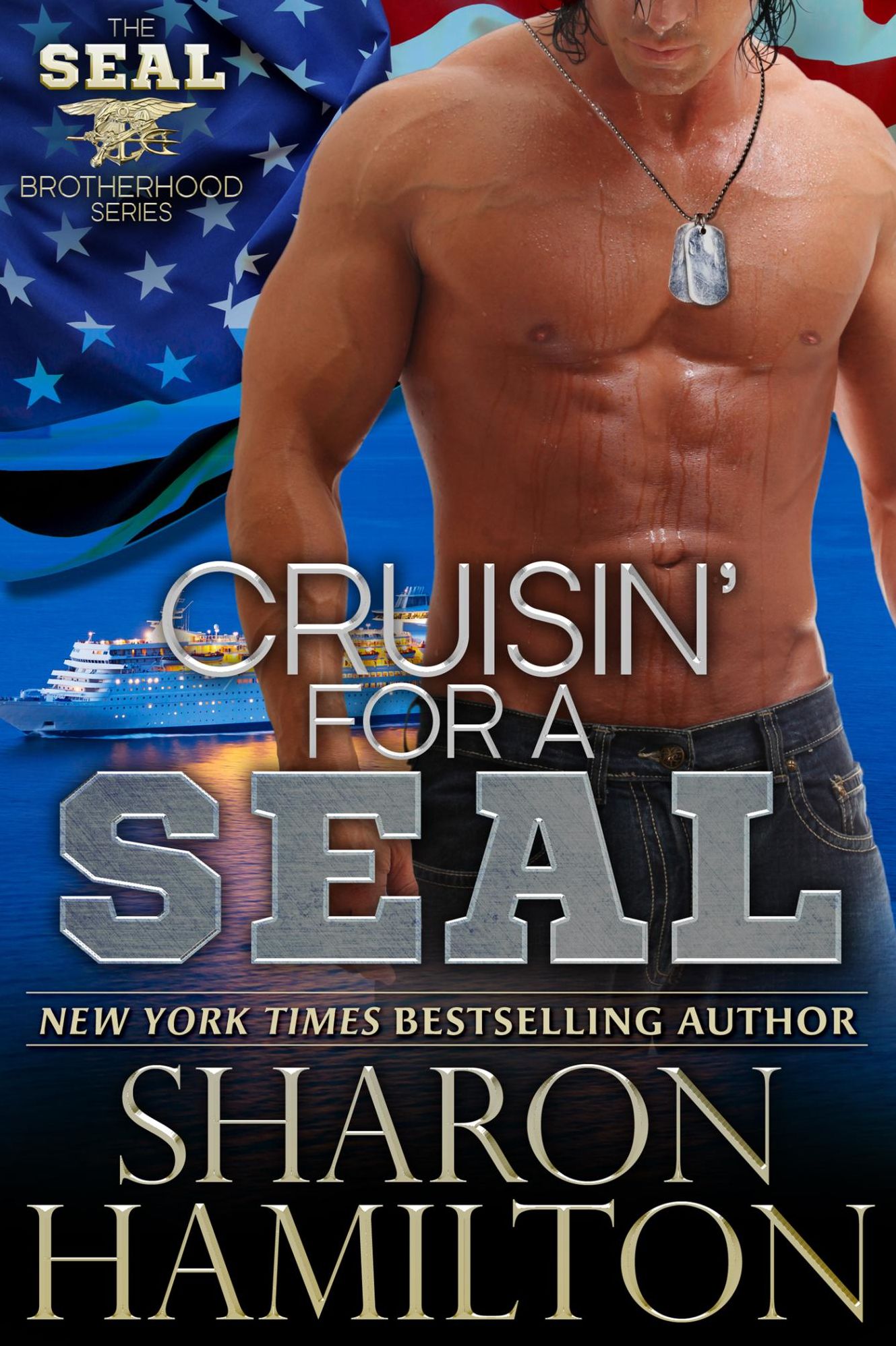 Cruisin' for a SEAL (SEAL Brotherhood Series #5)
