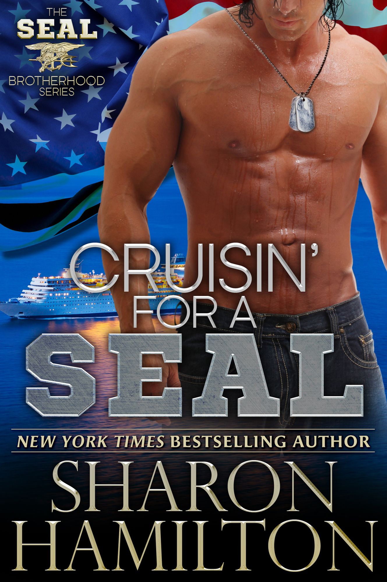 Cruisin' for a SEAL (SEAL Brotherhood Series #5)