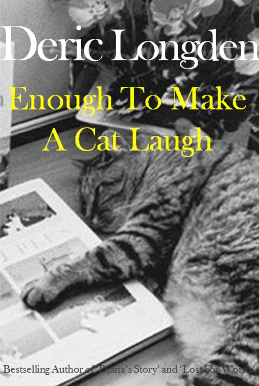 Enough to Make a Cat Laugh