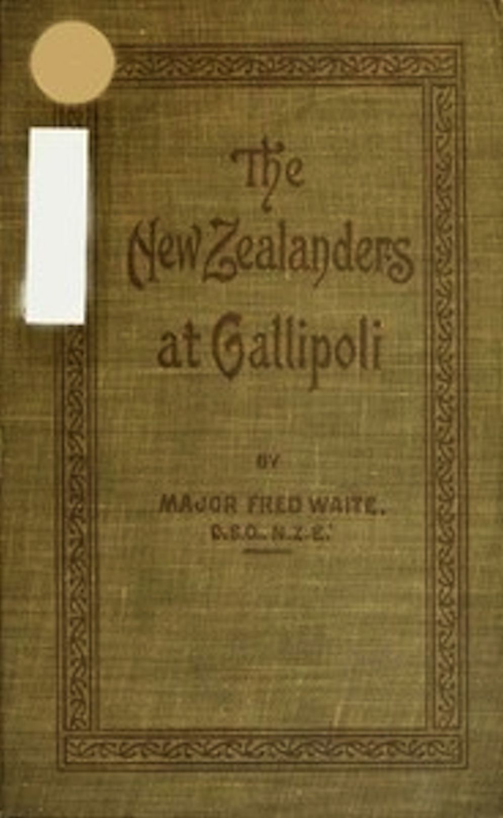 New Zealanders at Gallipoli (Illustrated)