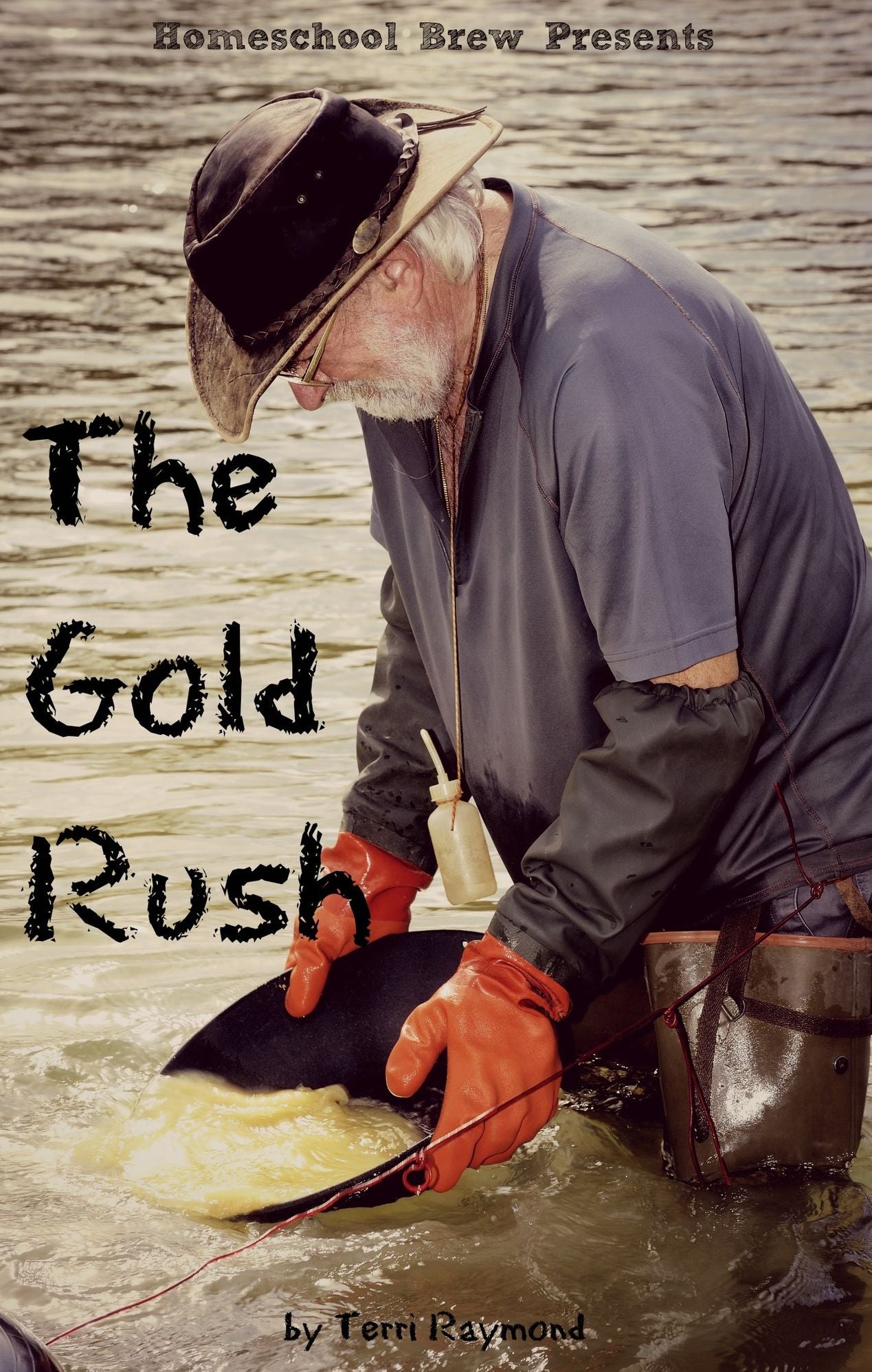 The Gold Rush (Fourth Grade Social Science Lesson, Activities, Discussion Questions and Quizzes)