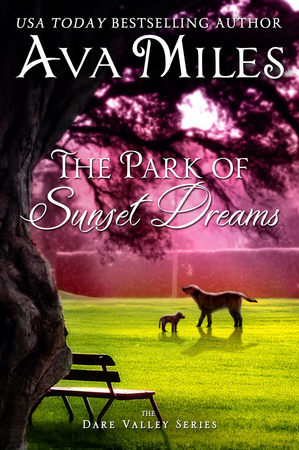 The Park of Sunset Dreams (Dare Valley)