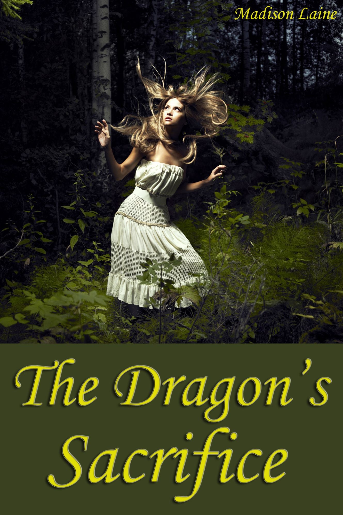 The Dragon's Sacrifice (Fantasy Erotica)