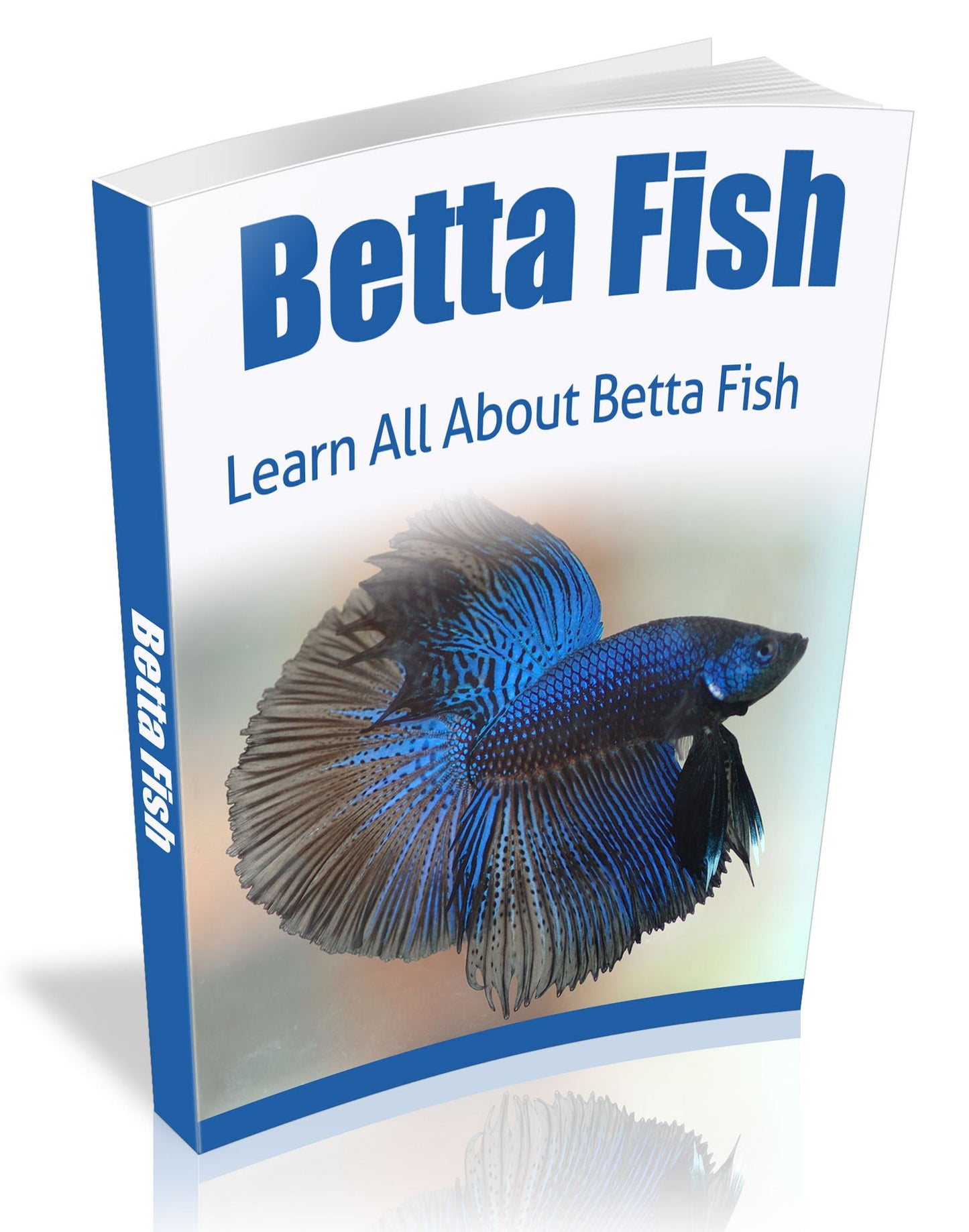 Betta Fish