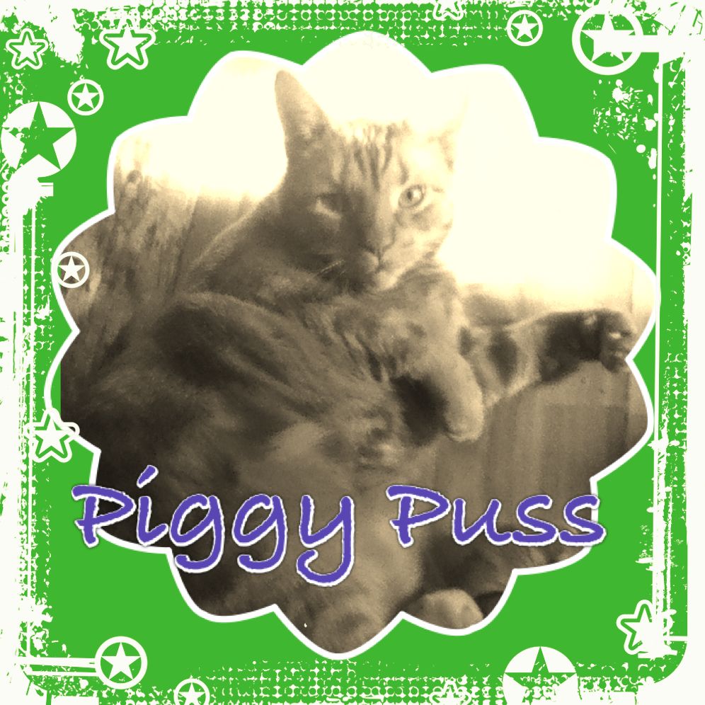 Piggy Puss
