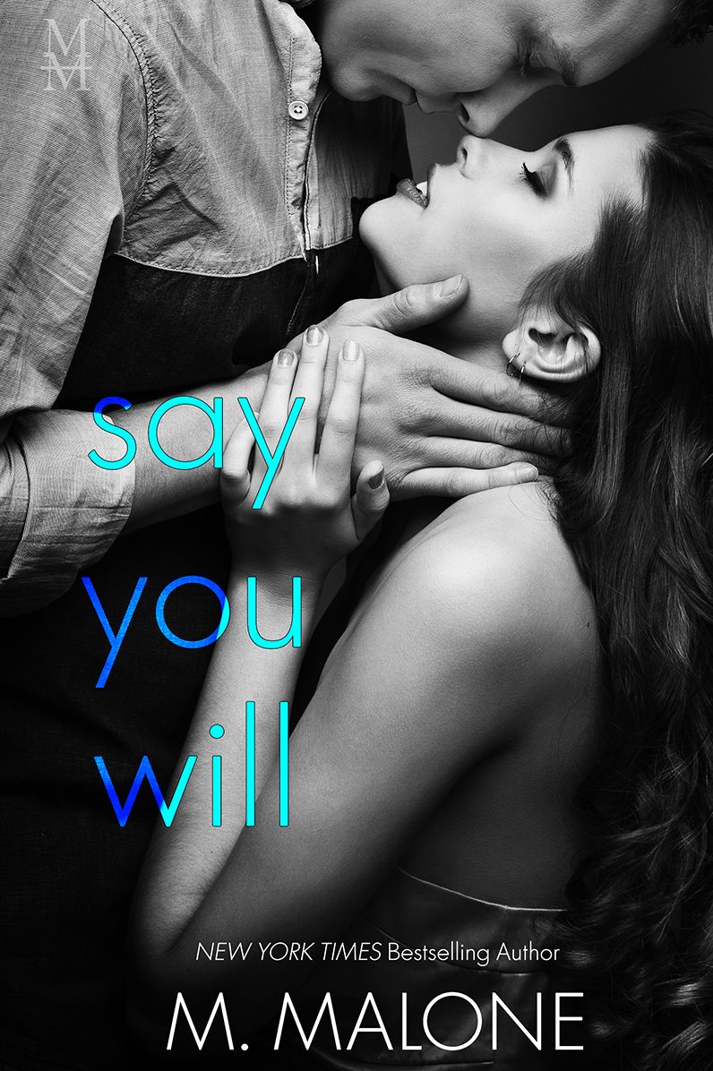 Say You Will (a Billionaire Contemporary Romance)